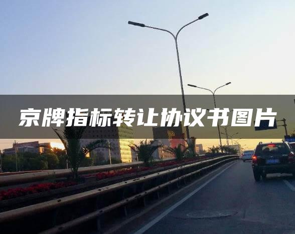 京牌指标转让协议书图片