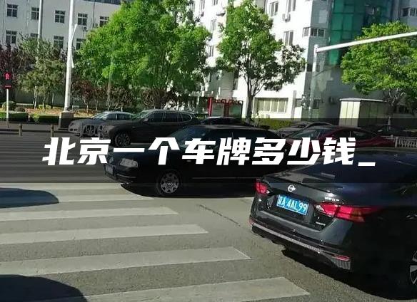 北京一个车牌多少钱_