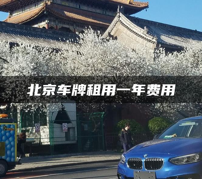 北京车牌租用一年费用