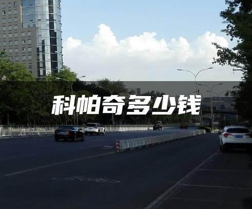 科帕奇多少钱