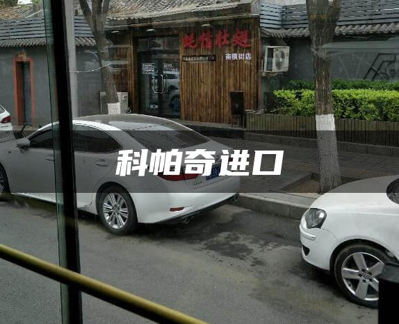 科帕奇进口