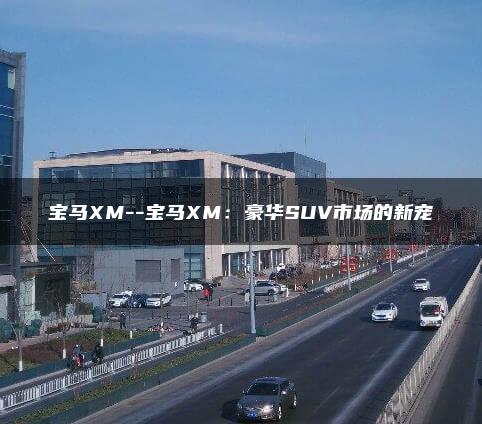 宝马XM–宝马XM：豪华SUV市场的新宠