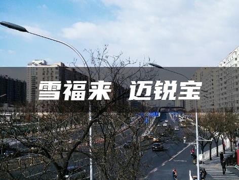 雪福来 迈锐宝