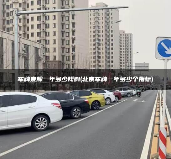 车牌京牌一年多少钱啊(北京车牌一年多少个指标)