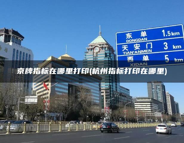 京牌指标在哪里打印(杭州指标打印在哪里)