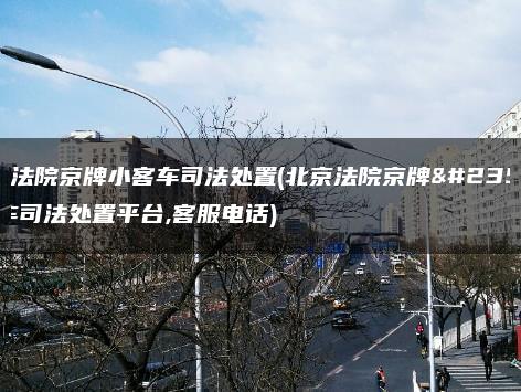 北京法院京牌小客车司法处置(北京法院京牌小客车司法处置平台,客服电话)