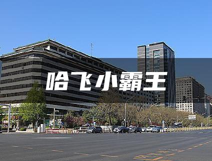 哈飞小霸王