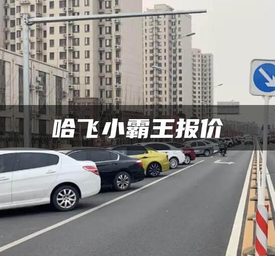 哈飞小霸王报价