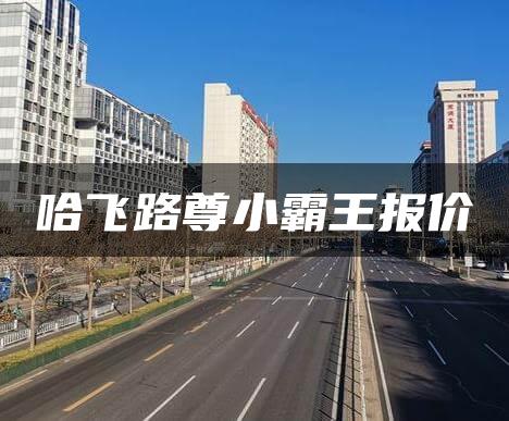 哈飞路尊小霸王报价