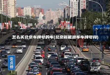 怎么买北京车牌号的车(北京新能源车车牌号段)