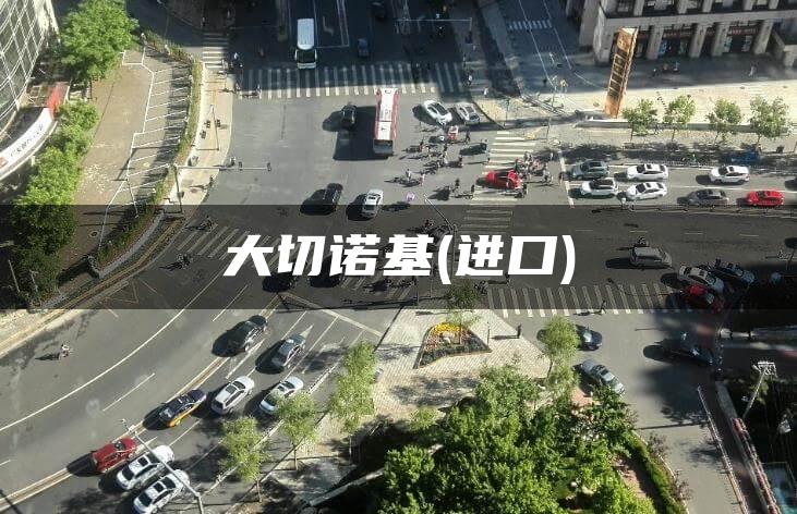 大切诺基(进口)