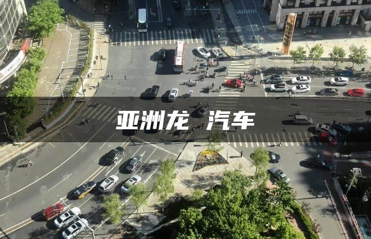 亚洲龙 汽车
