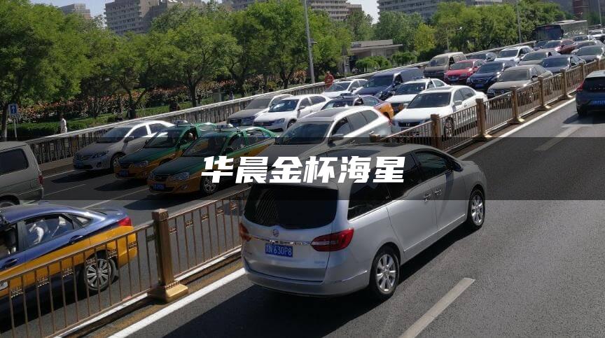 华晨金杯海星