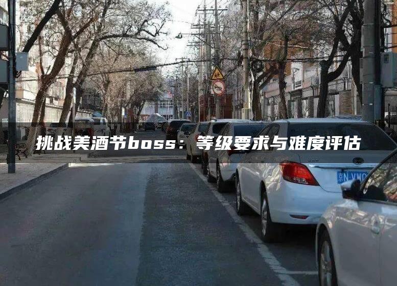 挑战美酒节boss：等级要求与难度评估