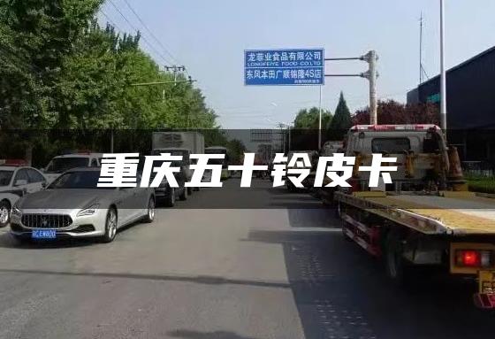 重庆五十铃皮卡
