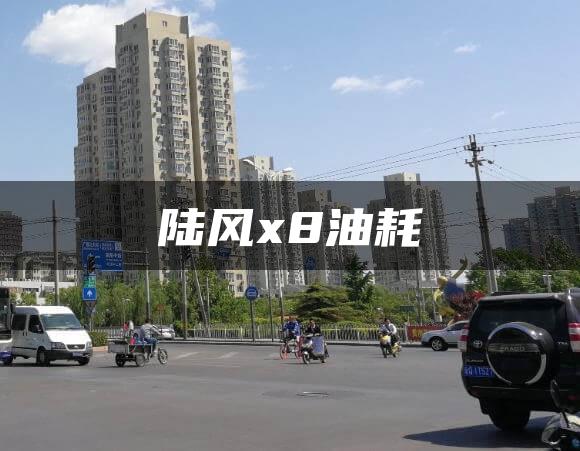 陆风x8油耗