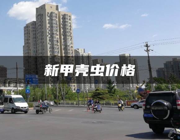 新甲壳虫价格