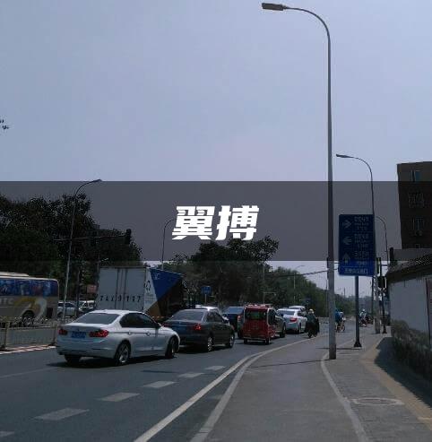 翼搏