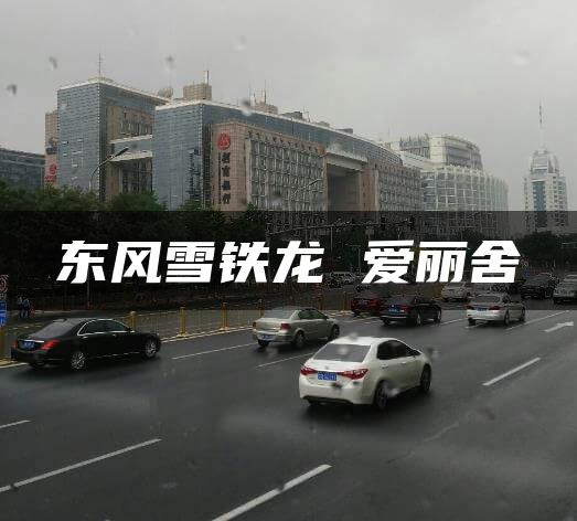 东风雪铁龙 爱丽舍