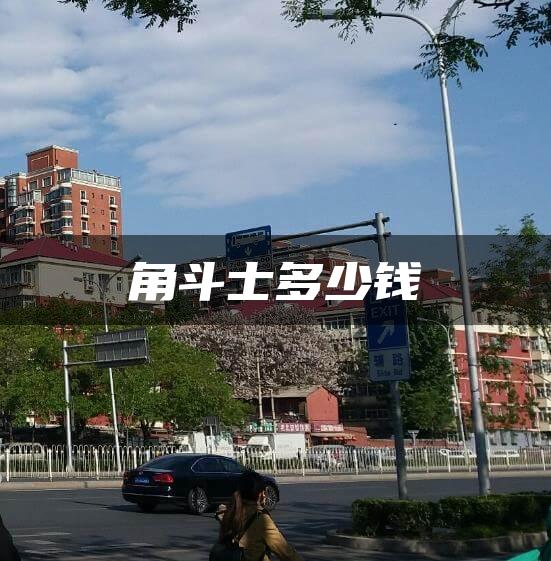 角斗士多少钱