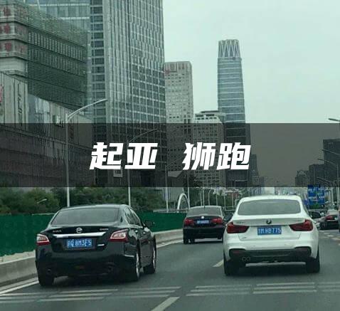 起亚 狮跑