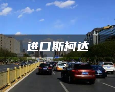 进口斯柯达