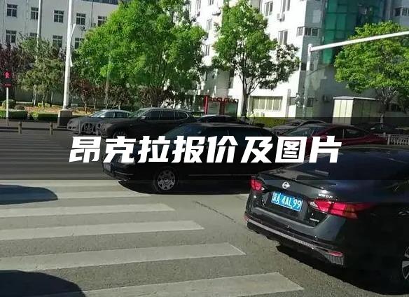 昂克拉报价及图片