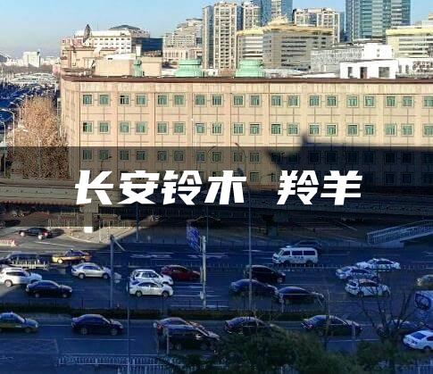 长安铃木 羚羊