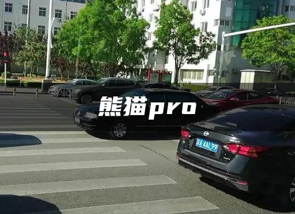 熊猫pro