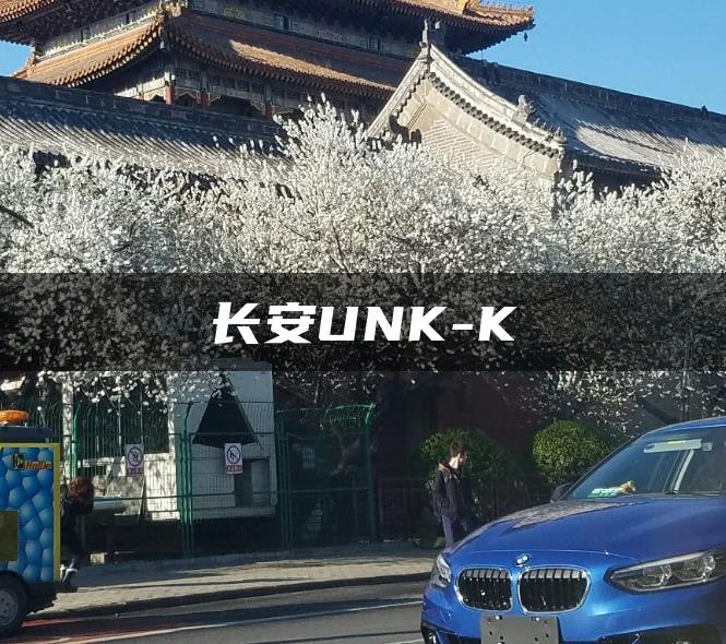 长安UNK-K