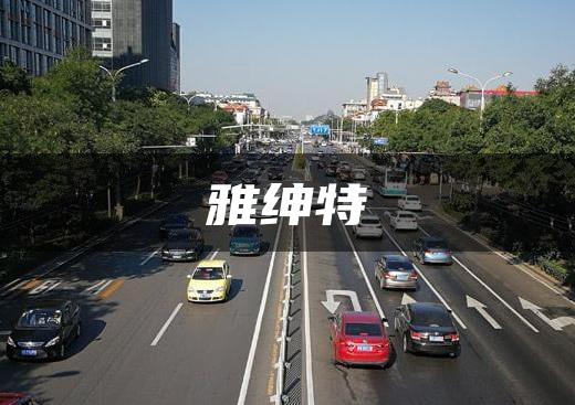 雅绅特