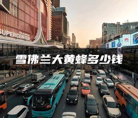 雪佛兰大黄蜂多少钱