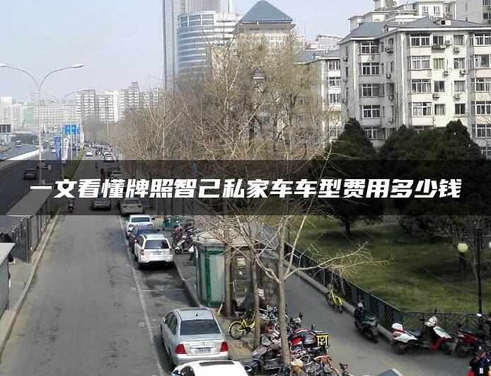一文看懂牌照智己私家车车型费用多少钱