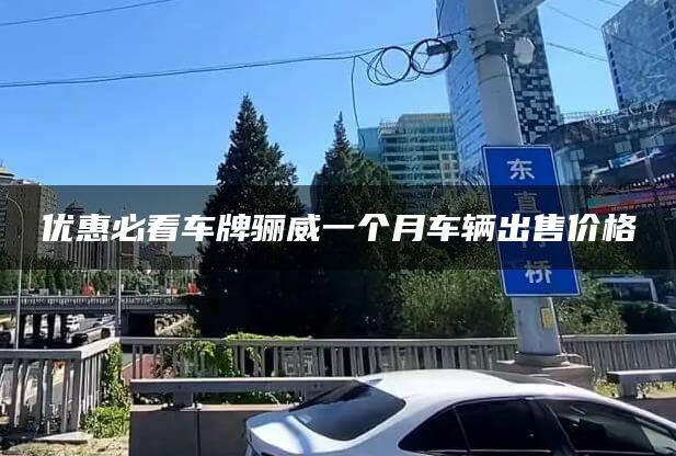 优惠必看车牌骊威一个月车辆出售价格