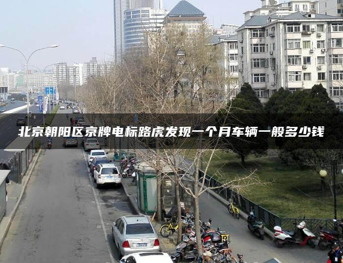 北京朝阳区京牌电标路虎发现一个月车辆一般多少钱