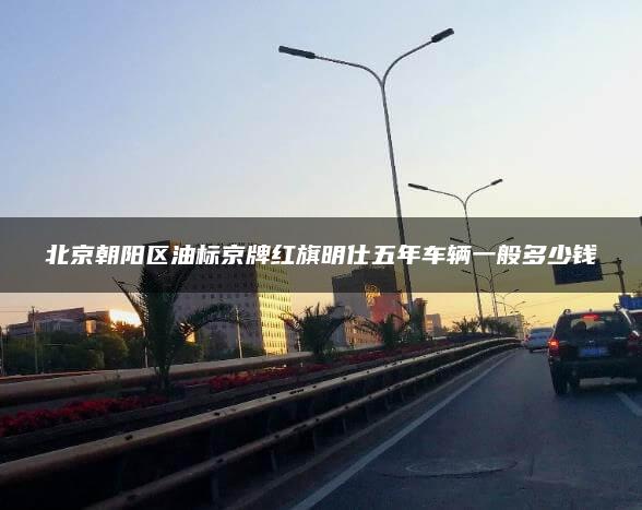 北京朝阳区油标京牌红旗明仕五年车辆一般多少钱