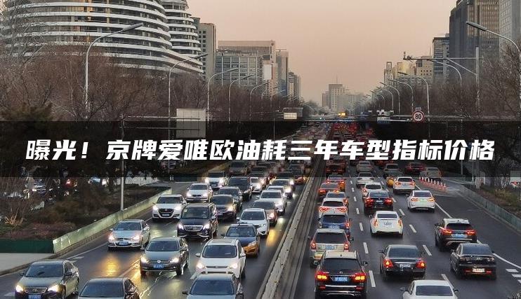 曝光！京牌爱唯欧油耗三年车型指标价格