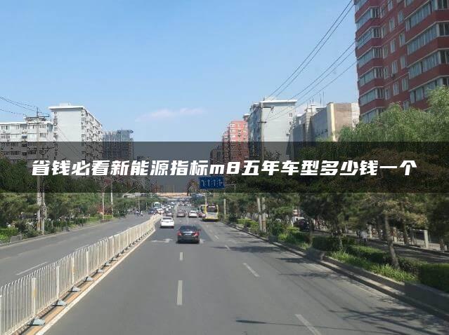 省钱必看新能源指标m8五年车型多少钱一个