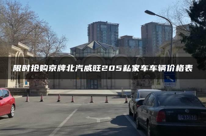 限时抢购京牌北汽威旺205私家车车辆价格表