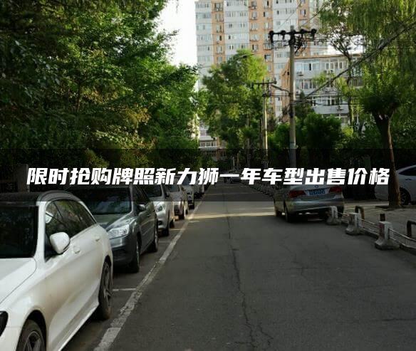 限时抢购牌照新力狮一年车型出售价格