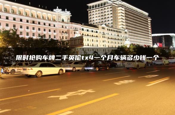 限时抢购车牌二手英伦tx4一个月车辆多少钱一个