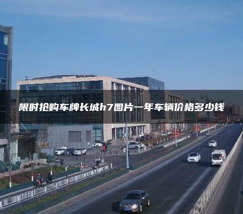 限时抢购车牌长城h7图片一年车辆价格多少钱