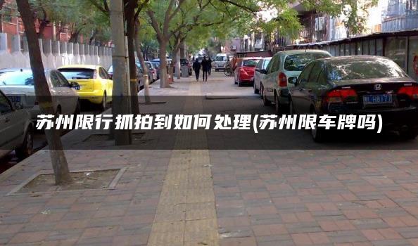 苏州限行抓拍到如何处理(苏州限车牌吗)