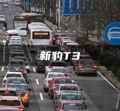 新豹T3