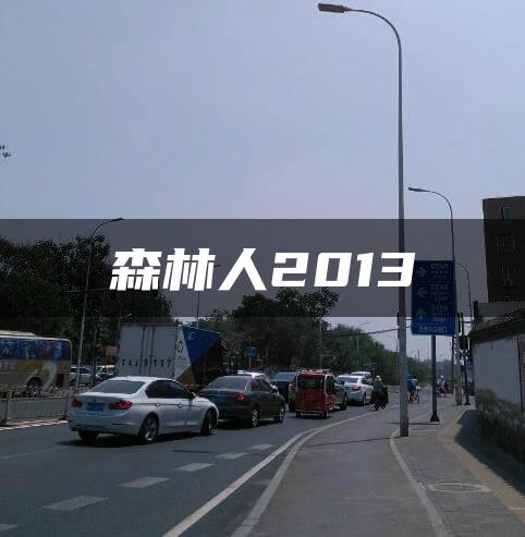 森林人2013