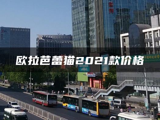 欧拉芭蕾猫2021款价格