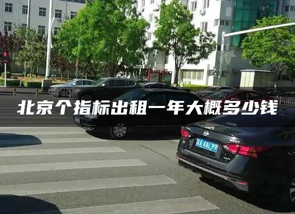 北京个指标出租一年大概多少钱