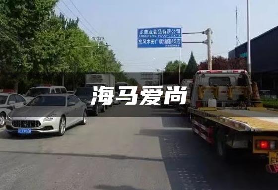 海马爱尚