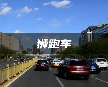 狮跑车