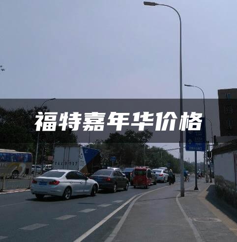 福特嘉年华价格